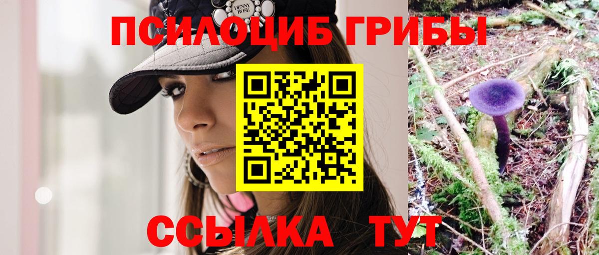 Волжский  Галлюциногенные грибы мицелий  Вход с VPN 